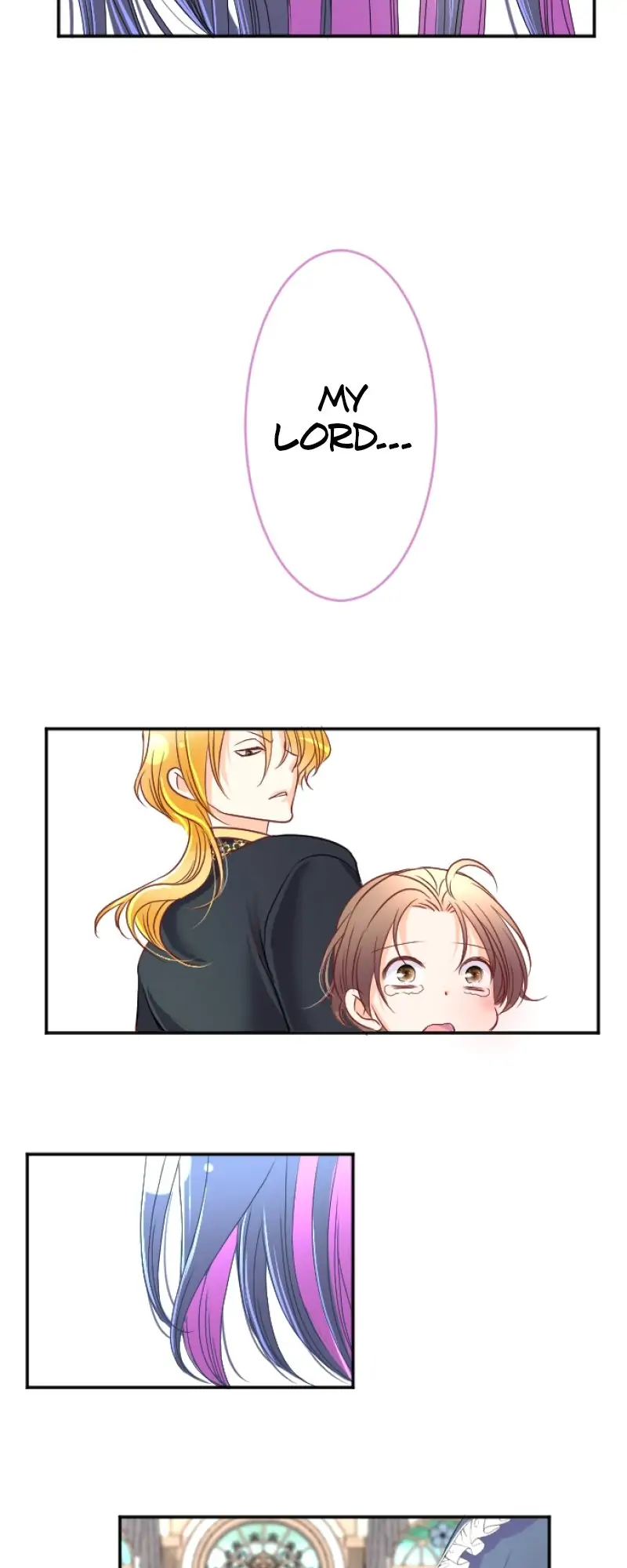 36023540 800 2000 36274