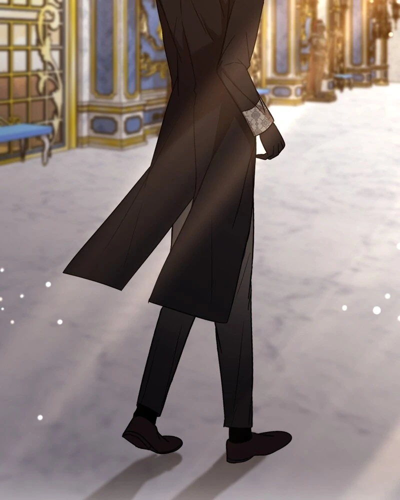 70521135 800 1000 50950